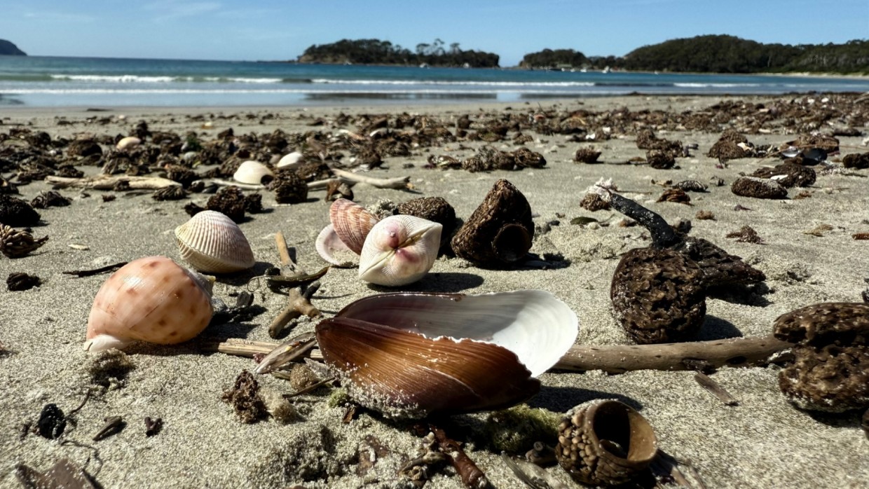 Miniatura bloga: Tasmania-najpiękniejsza część Australii