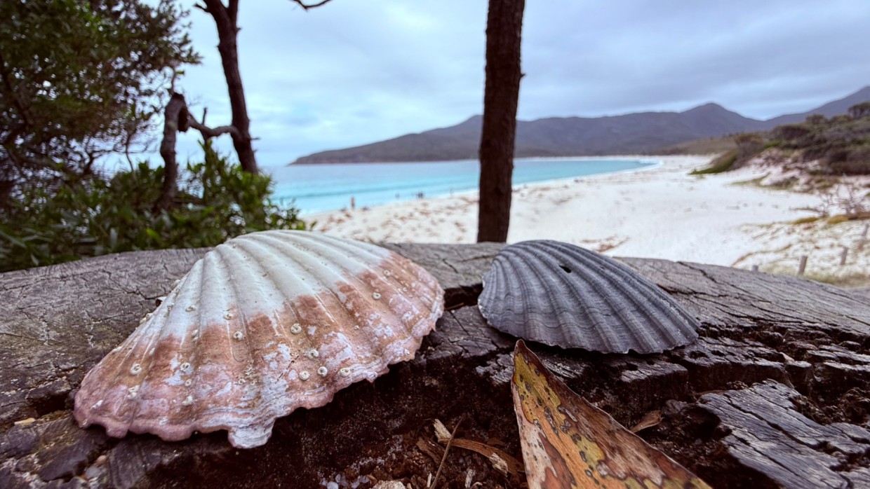 Miniatura bloga: Freycinet-najstarszy Park Narodowy Tasmanii