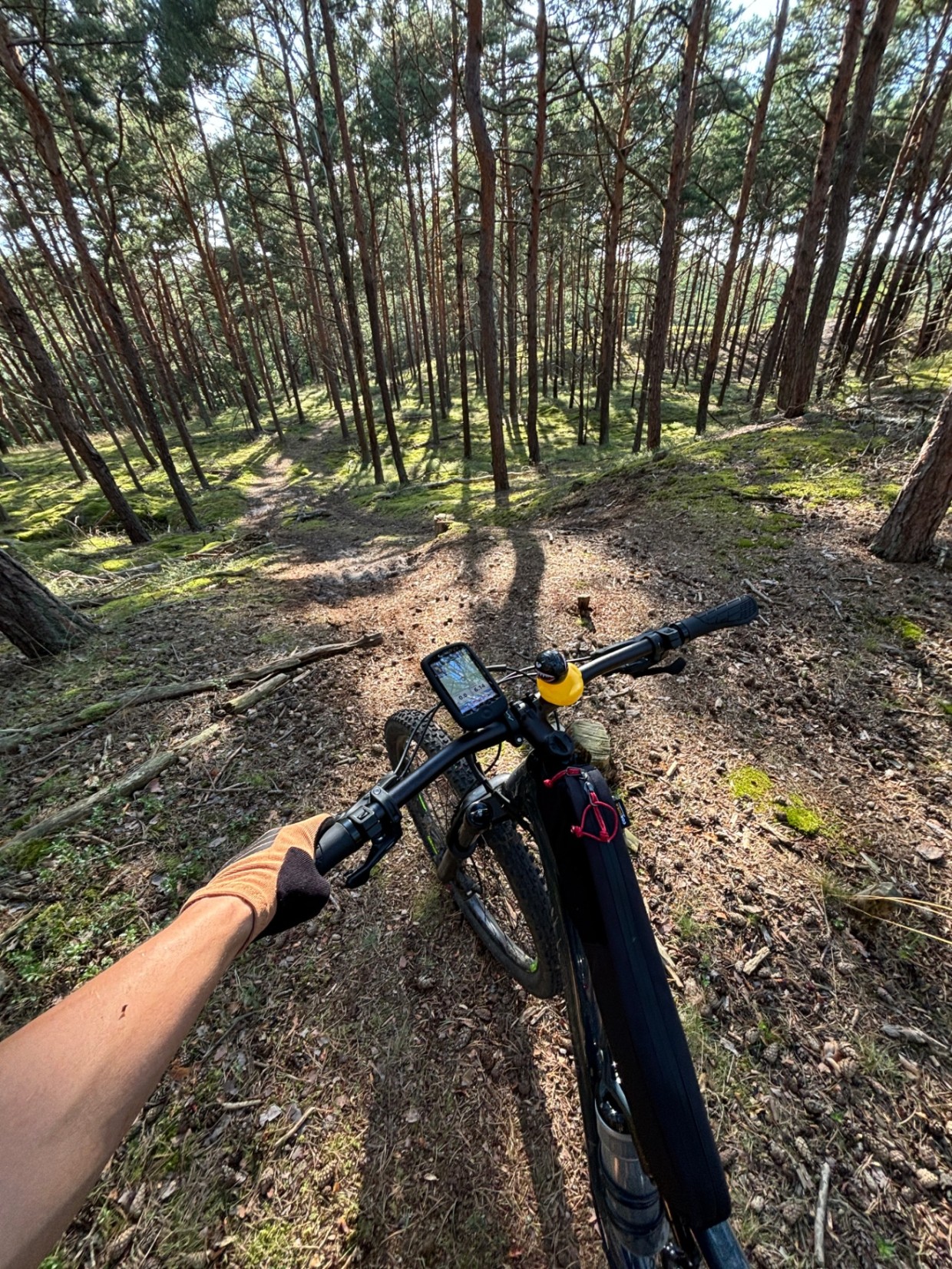 Miniatura bloga: Rowerowa wyprawa z Sopotu na Hel