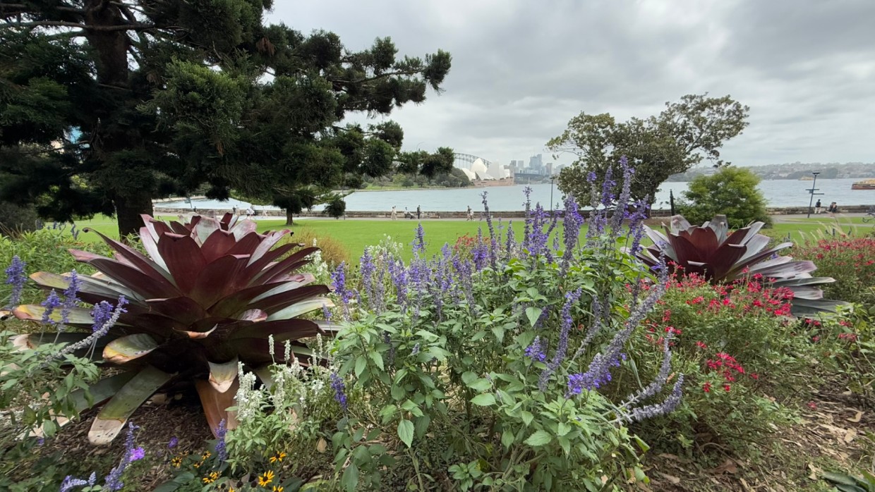 Miniatura bloga: Sydney-tu cywilizacja spotyka się z przyrodą