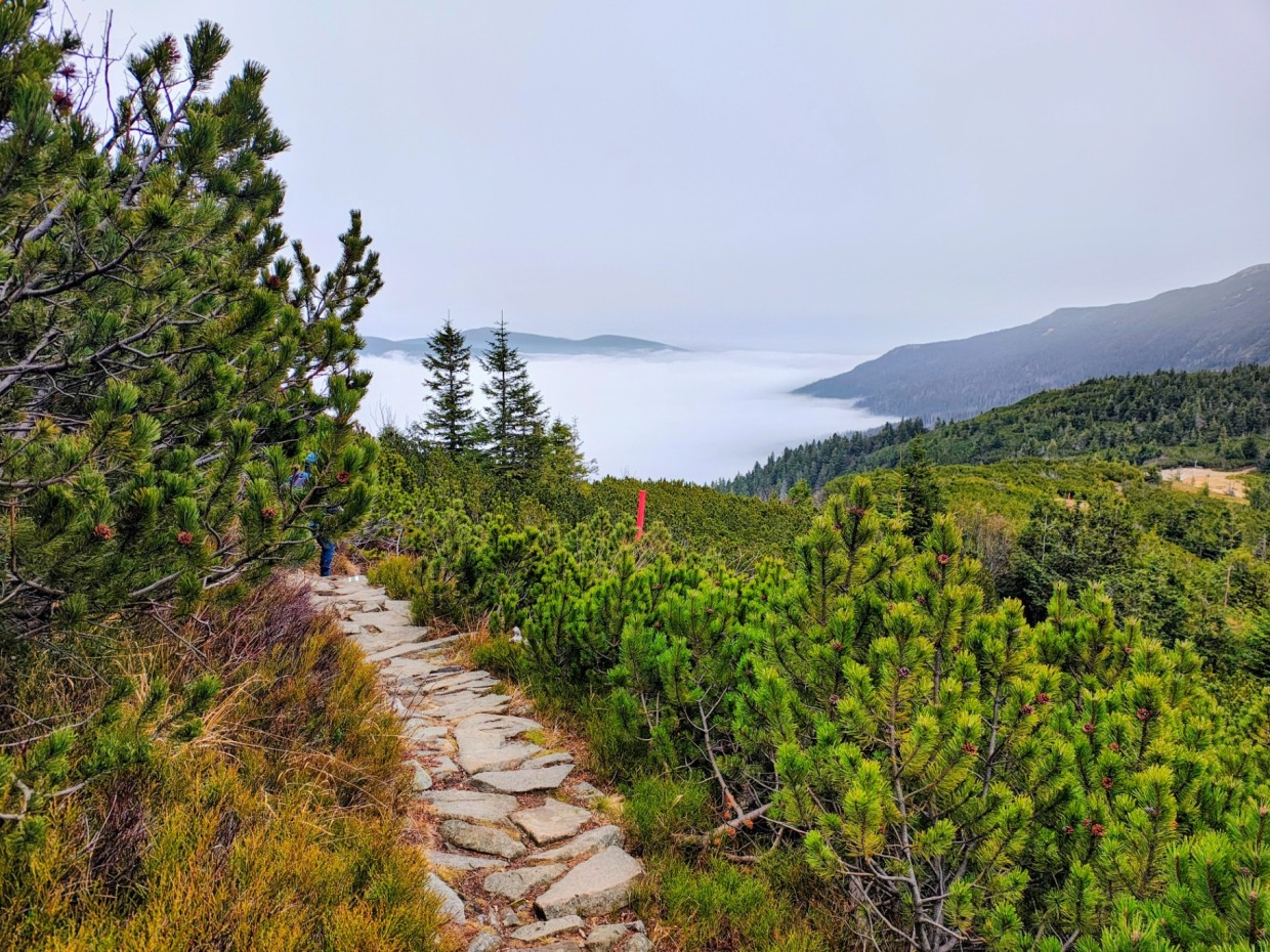 Diablak - 1724 m.n.p.m